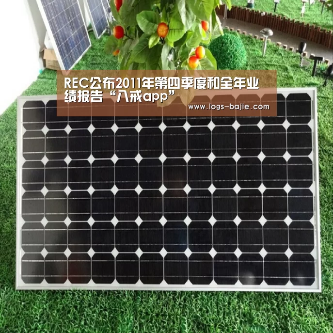 REC公布2011年第四季度和全年业绩报告“八戒app”(图3) 八戒体育登录入口